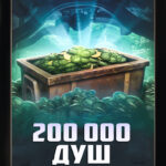 200 000 ДУШ